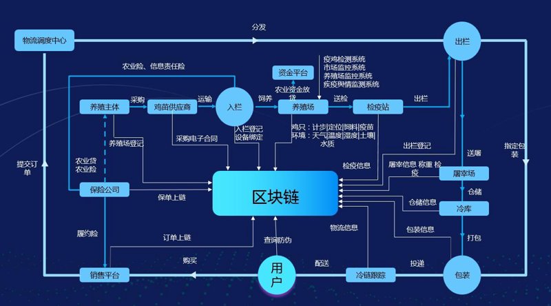 区块链技术开发:构建未来数字经济的桥梁